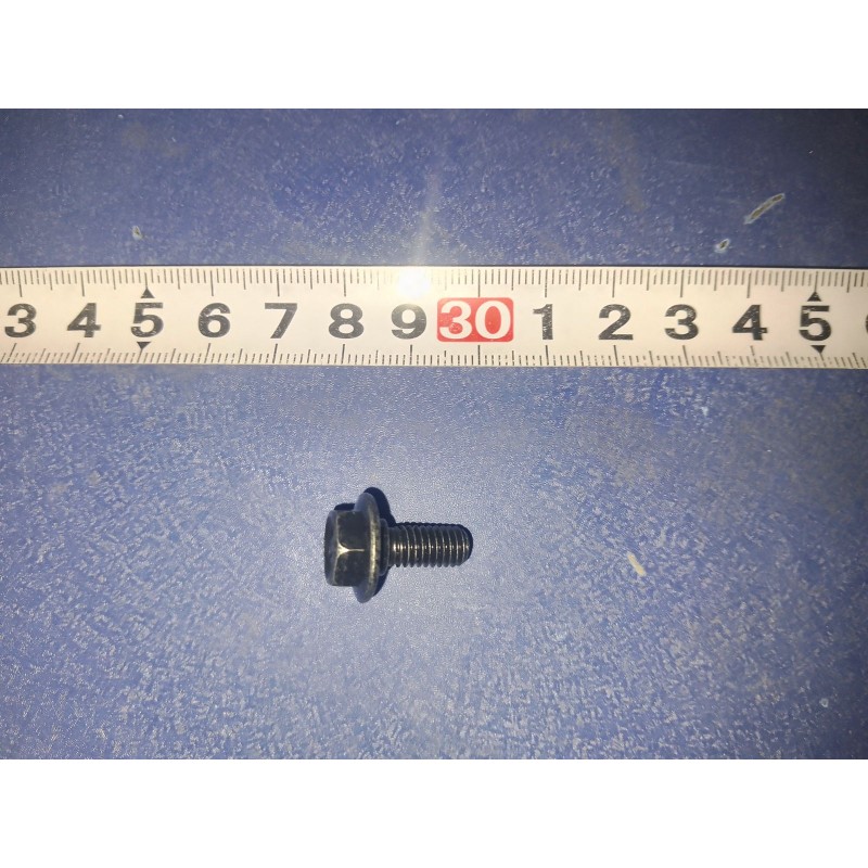 Boulon à bride hexagonale - BYD - 12139671-00