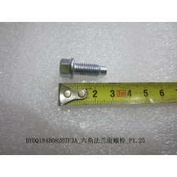 Boulon à tête hexagonale avec bride - BYD - 12139665-00
