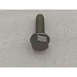 Boulon à bride hexagonale - BYD - 12139039-00
