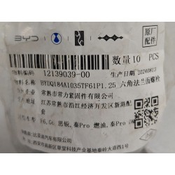 Boulon à bride hexagonale - BYD - 12139039-00