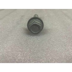 Boulon à bride hexagonale - BYD - 12139021-00