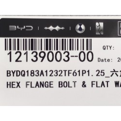 Boulon six pans - BYD - 12139003-00