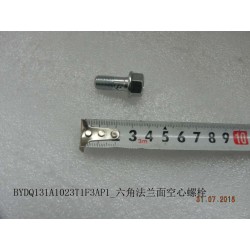 Boulon creux à bride à six pans - BYD - 12138944-00