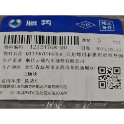 Écrou hexagonal - BYD - 12124768-00