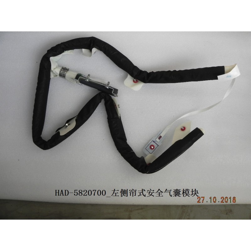 Module d'airbag de rideau, gauche - BYD - 12118753-00