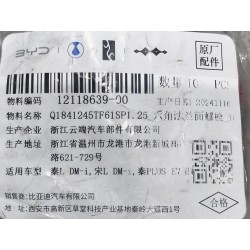 Boulon à bride hexagonale - Grade 10,9 - BYD - 12118639-00