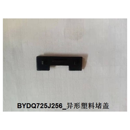 Bouchon en plastique de forme spéciale - BYD - 12099020-00