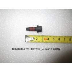 Boulon à bride hexagonale - BYD - 12092592-00