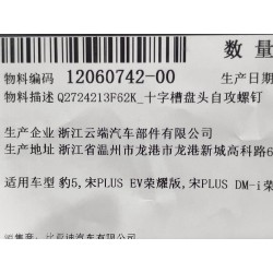 Vis autotaraudeuse - BYD - 12060742-00