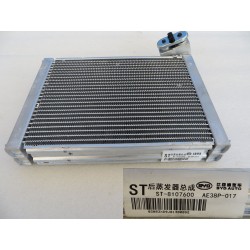 Noyau de l'évaporateur arrière - BYD - 12000047-00