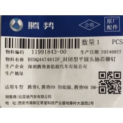 Rivet aveugle fermé à tête bouton - BYD - 11991843-00