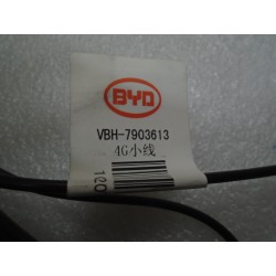 Antenne 4g - BYD - 11962637-00