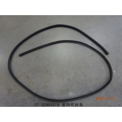 Bande d'étanchéité de garniture - BYD - 11940894-00