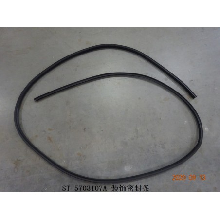 Bande d'étanchéité de garniture - BYD - 11940894-00