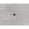 Vis à tête semi-cylindrique bombée à empreinte Phillips - BYD - 11901794-00