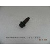 Boulon à bride hexagonale - BYD - 11833826-00