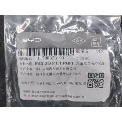 Boulon creux à bride à six pans - BYD - 11798339-00