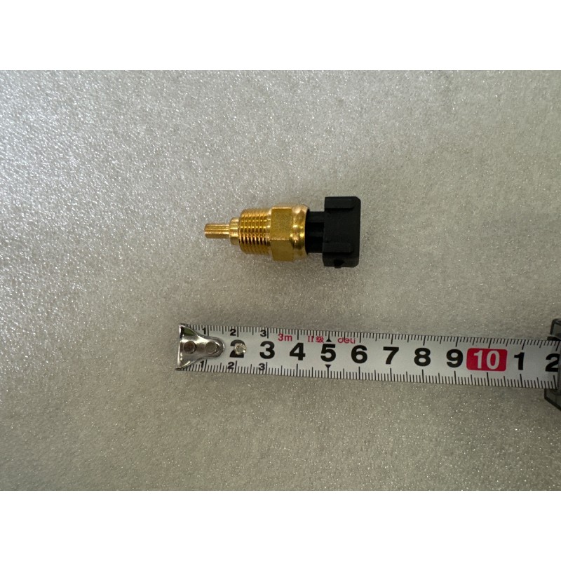 Capteur de température - BYD - 13999844-00