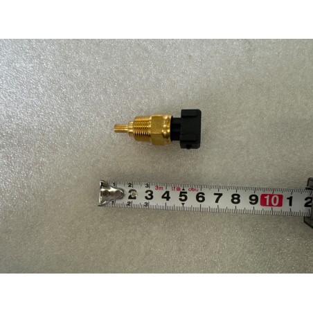 Capteur de température - BYD - 13999844-00