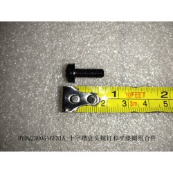 Assemblage de vis à tête cylindrique Phillips et rondelle plate - BYD - 11746623-00