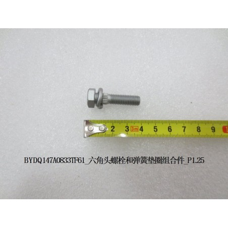 Unité d’assemblage de boulon à tête hexagonale et rondelle à ressort - BYD - 11736636-00