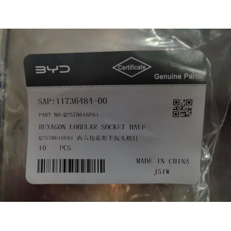 Vis à tête fraisée demi-chape encastrée hexagonale lobulaire - BYD - 11736484-00