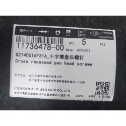 Vis à tête cylindrique bombée à empreinte Phillips - BYD - 11736478-00