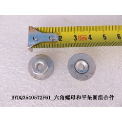 Écrou hexagonal - BYD - 11726368-00