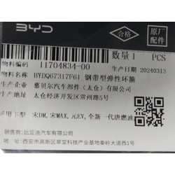 Cerceau élastique de type bande en acier - BYD - 11704834-00