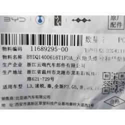 Boulon six pans - BYD - 11689295-00