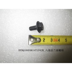 Boulon à bride hexagonale - BYD - 11673040-00