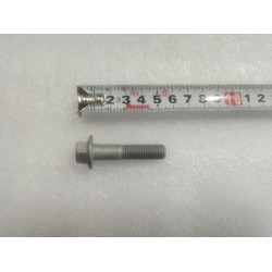 Boulon à bride hexagonale - BYD - 11666201-00