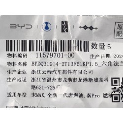 Écrou fendu à bride hexagonale - BYD - 11579701-00