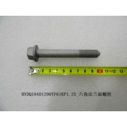 Boulon à bride hexagonale - BYD - 11555237-00