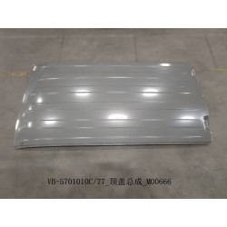Couvre-toit - BYD - 11519417-00