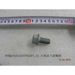 Boulon à bride hexagonale - BYD - 11489618-00