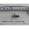 Boulon à bride hexagonale - BYD - 11489618-00