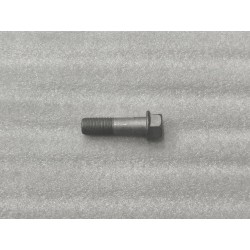 Boulon à bride hexagonale - BYD - 11489612-00