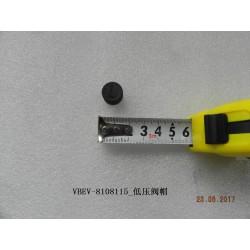 Chapeau de vanne basse pression - BYD - 11480261-00