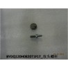 Boulon double - BYD - 11387286-00