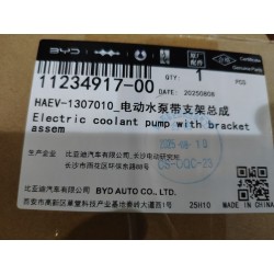 Pompe de liquide de refroidissement électrique avec ensemble de support - BYD - 11234917-00