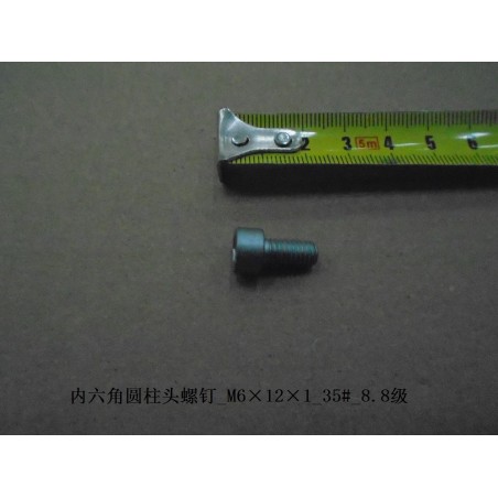 Vis à tête cylindrique à six pans creux - BYD - 11160671-00
