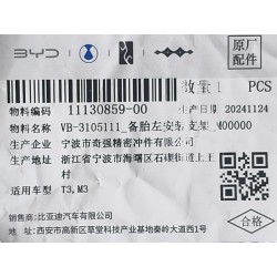 Support de montage gauche de la roue de secours - BYD - 11130859-00