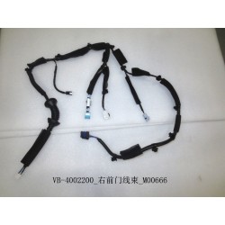 Faisceau de câblage de porte avant droite - BYD - 11129669-00