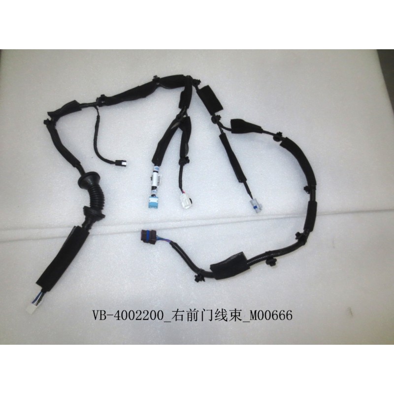 Faisceau de câblage de porte avant droite - BYD - 11129669-00