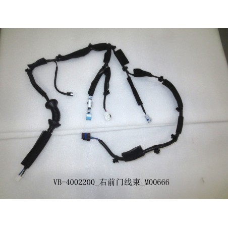 Faisceau de câblage de porte avant droite - BYD - 11129669-00