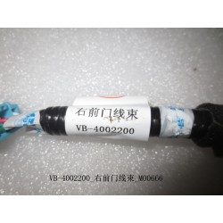 Faisceau de câblage de porte avant droite - BYD - 11129669-00