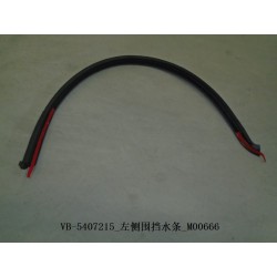 Bourrelet d'étanchéité du côté gauche - BYD - 11129618-00