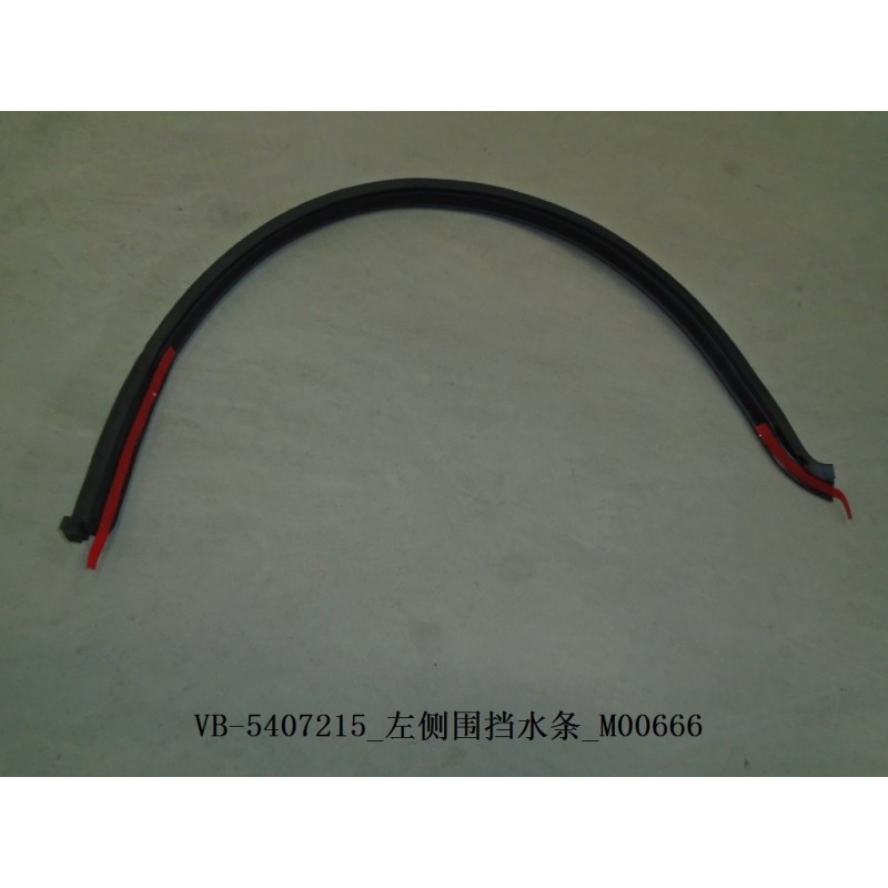 Bourrelet d'étanchéité du côté gauche - BYD - 11129618-00