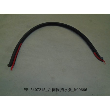 Bourrelet d'étanchéité du côté gauche - BYD - 11129618-00